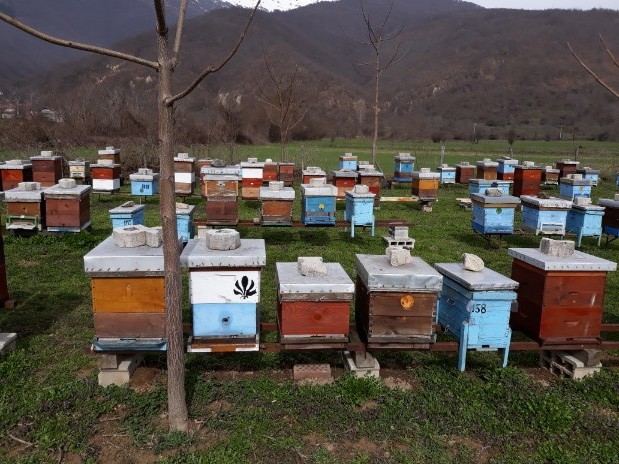 Druženje sa pčelarima Makedonije